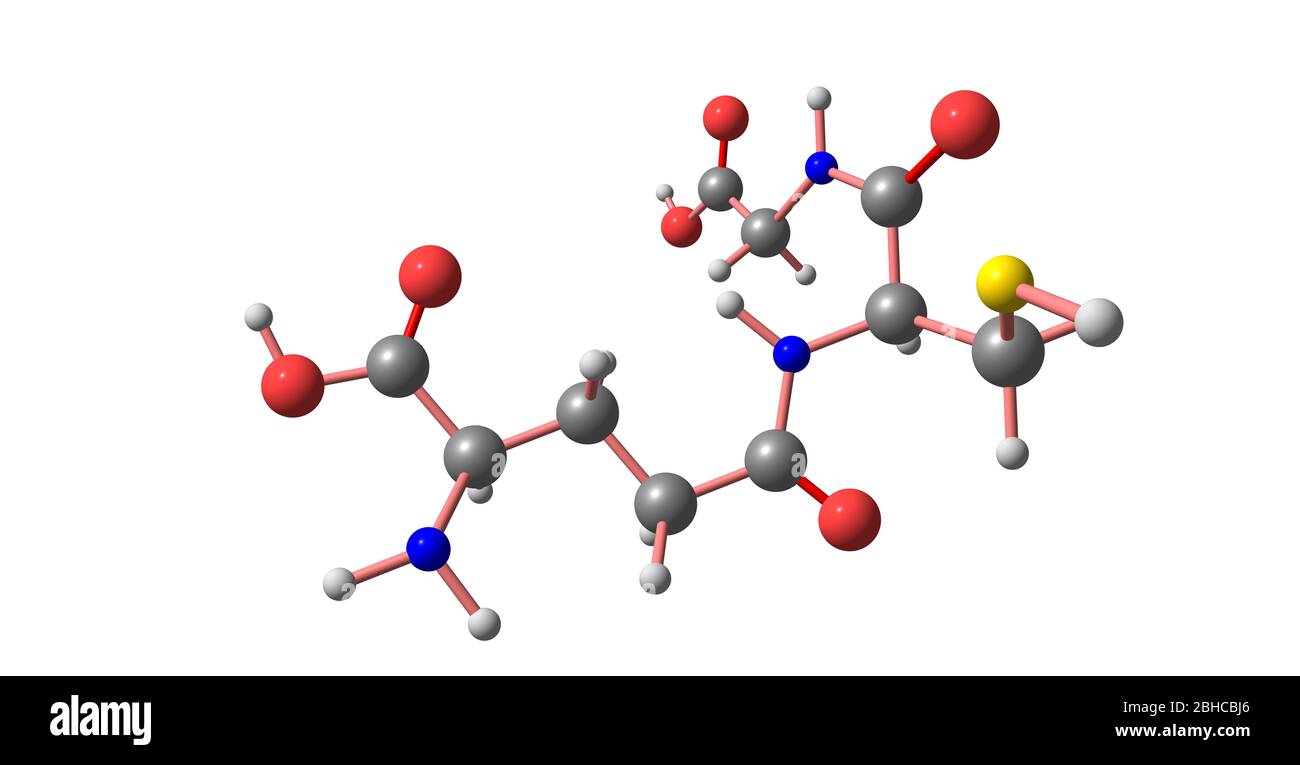 glutathione peroxidase 2 Glutathione Peroxidase 2/GPX2 Antibody