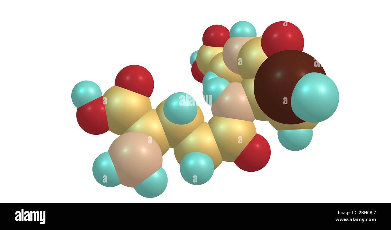 glutathione bacteria Glutathione or GSH is an antioxidant in plants, animals, fungi, and some  bacteria and archaea. 3d illustration Stock Photo