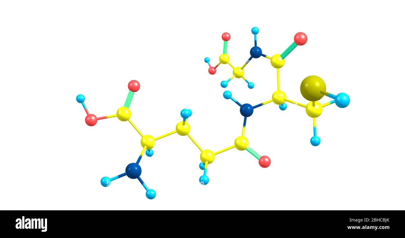 glutathione in plants Glutathione is an important antioxidant in plants, animals, fungi, and some  bacteria and archaea. Take the time and learn more about it right here! main image 1