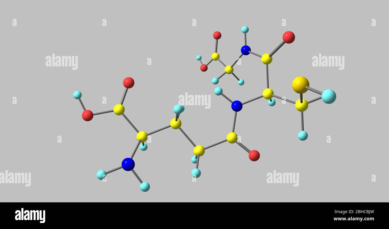 glutathione bacteria Glutathione or GSH is an antioxidant in plants, animals, fungi, and some  bacteria and archaea. 3d illustration Stock Photo