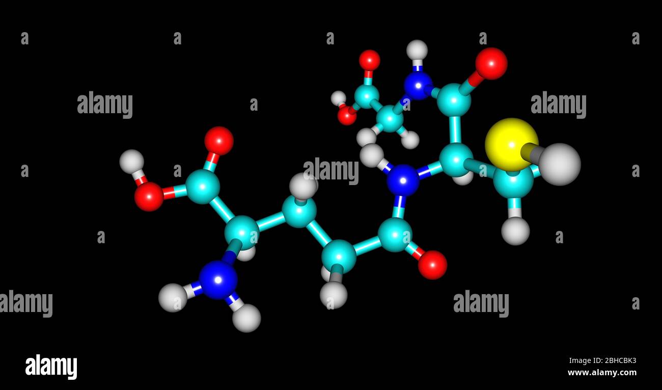 Glutathione or GSH is an antioxidant in plants, animals, fungi, and some  bacteria and archaea. 3d illustration Stock Photo - Alamy