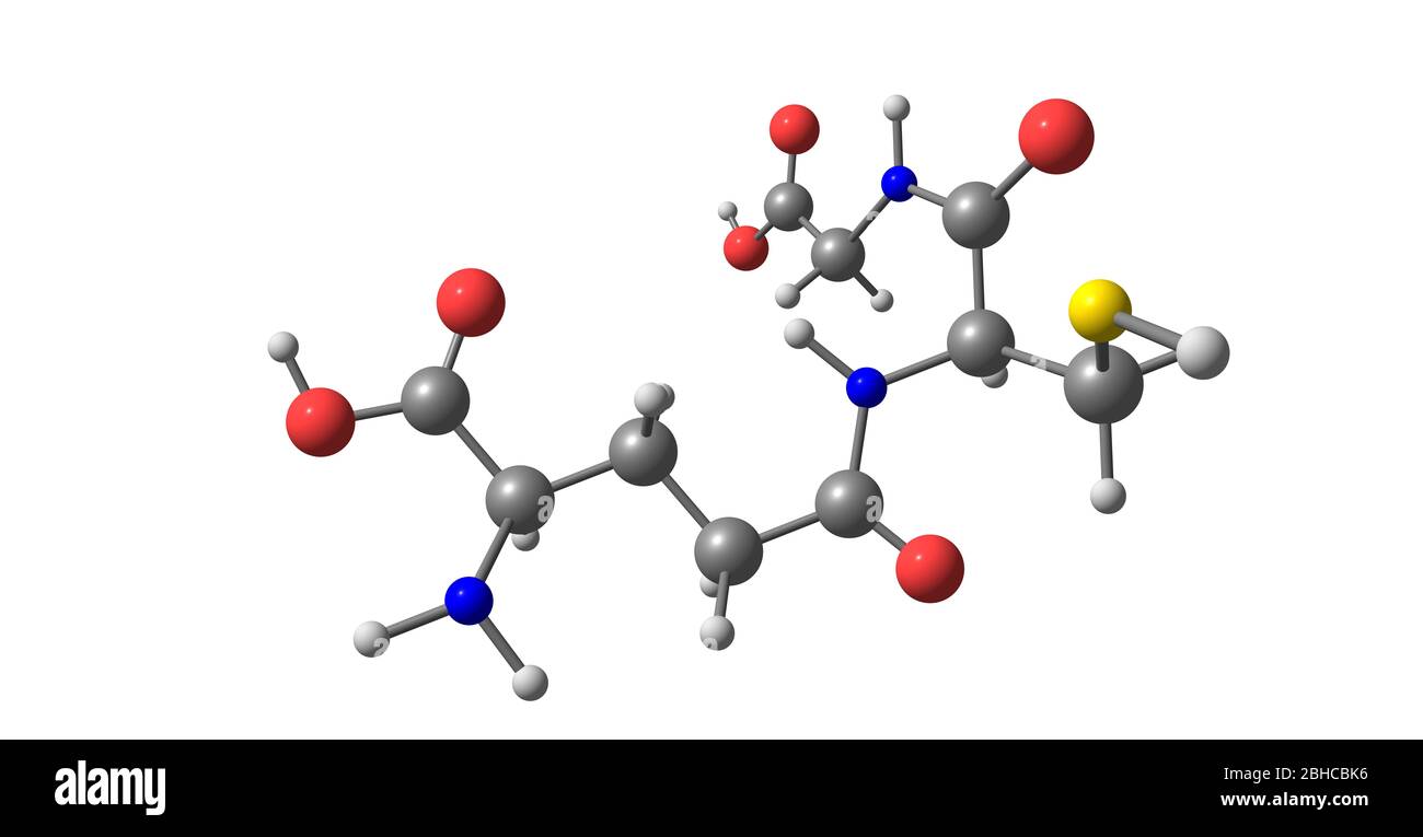 Glutathione or GSH is an antioxidant in plants, animals, fungi, and some bacteria and archaea. 3d illustration Stock Photo - Alamy Glutathione or GSH is an antioxidant in plants, animals, fungi, and some bacteria and archaea. 3d illustration Stock Photo - Alamy