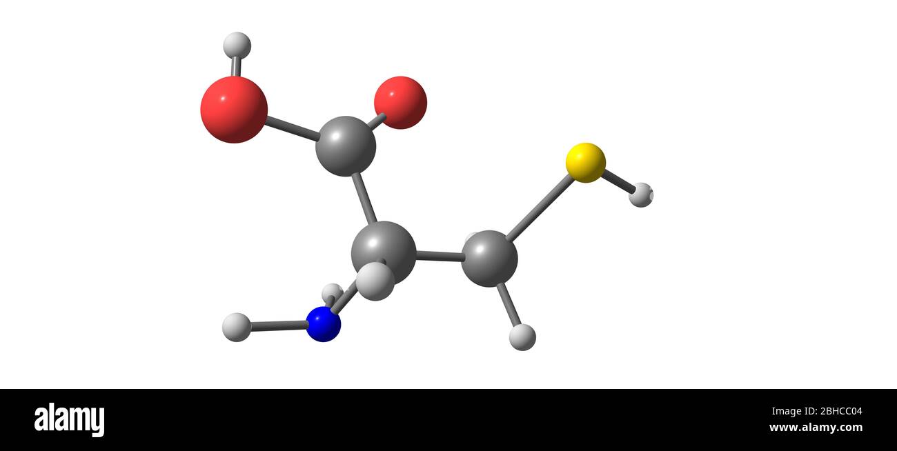 Cysteine is a semiessential proteinogenic amino acid. 3d illustration Stock  Photo - Alamy