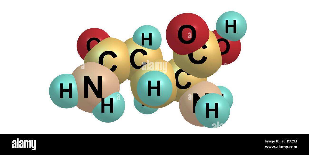 Glutamine or Gln is an amino acid that is used in the biosynthesis of