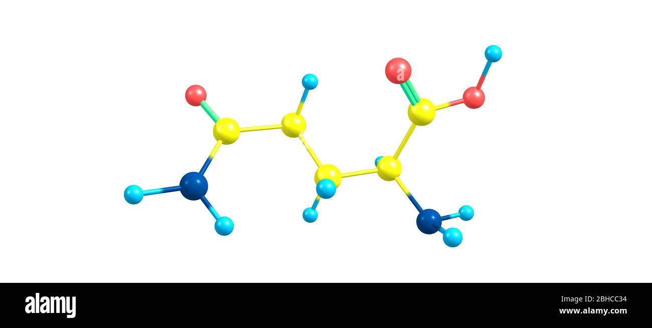 Glutamine or Gln is an amino acid that is used in the biosynthesis of