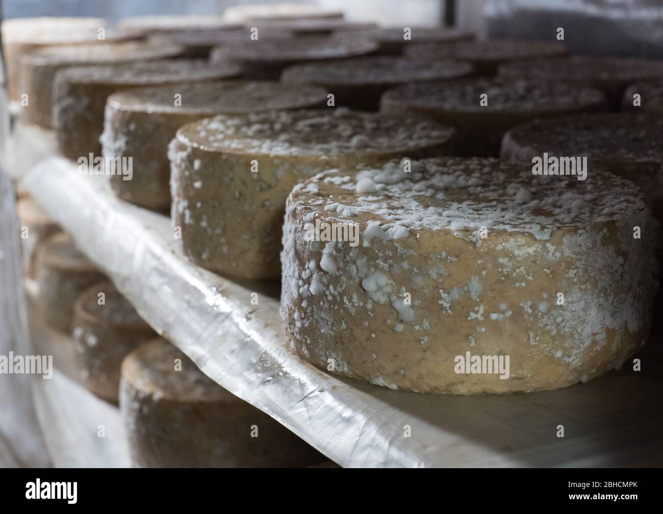 Mountain cheeses hires stock photography and images Alamy