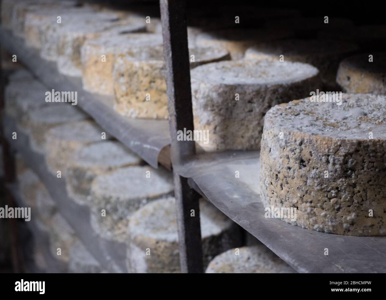 Cabrales blueveined cheeses maturing in mountainside caves in Asturias