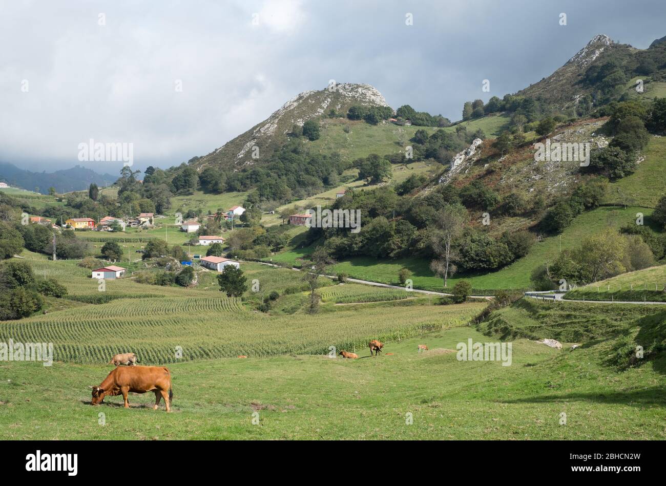 Countryside views from Casa Marcial two-Michelin-starred restaurant in La Salgar, Asturias, northern Spain Stock Photo