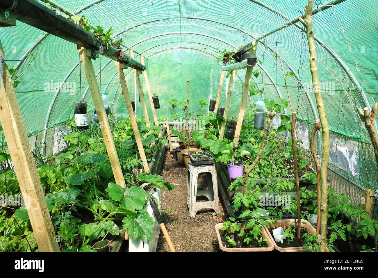 Polytunnel Interior High Resolution Stock Photography And Images Alamy