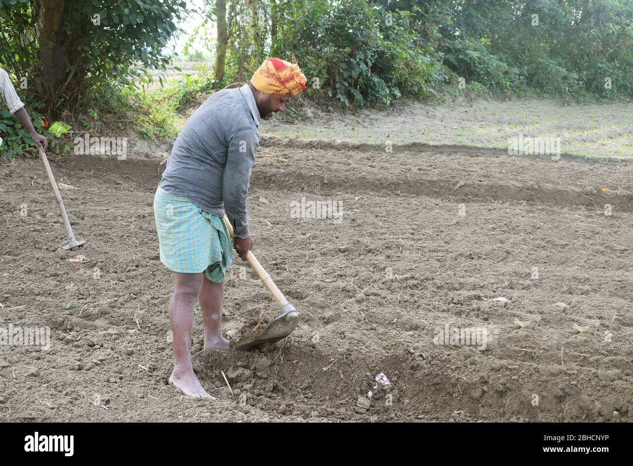 indian farmer working with hoe at field Stock Photo