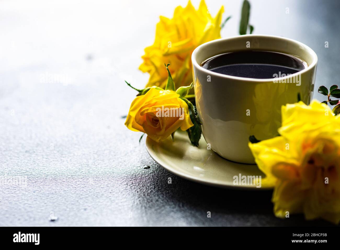 Good morning rose hi-res stock photography and images - Page 8 - Alamy