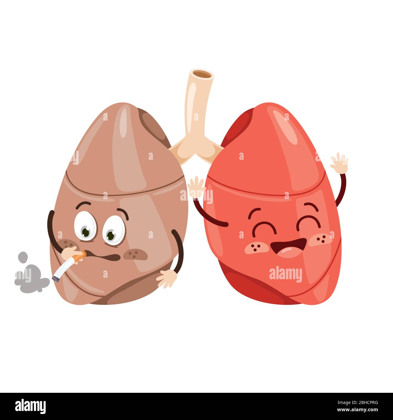 Cartoon Drawing Of Human Lungs Stock Vector Image & Art Alamy