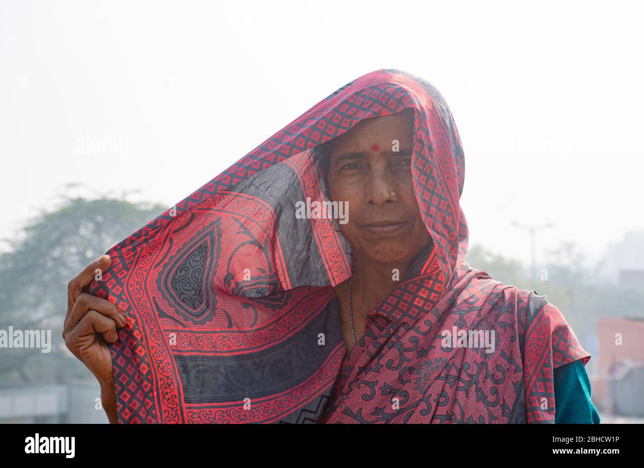 portrait of indian woman in saree Stock Photo - Alamy