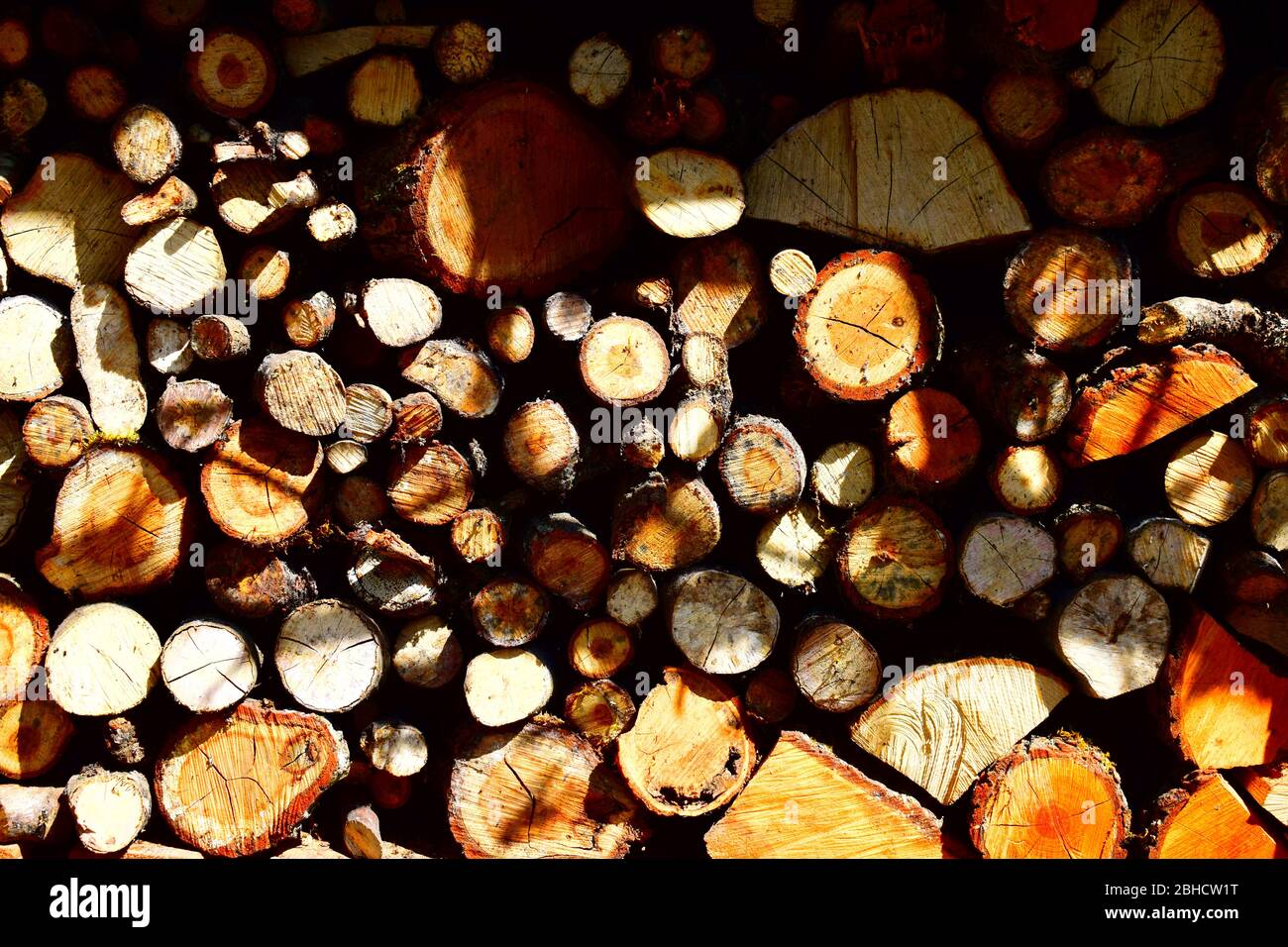 Oakwood pile hi-res stock photography and images - Alamy