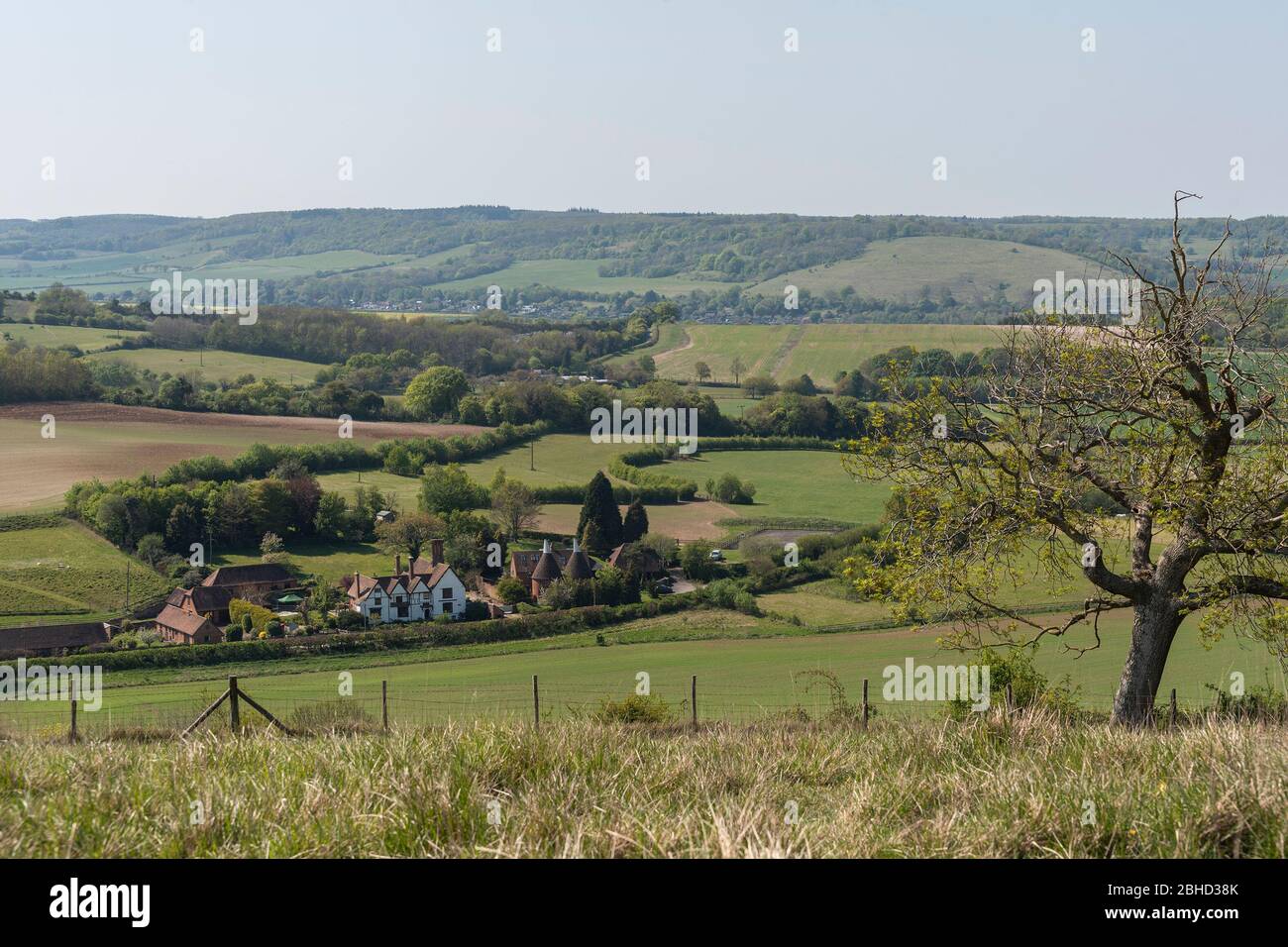 Beautiful Kent countryside in Spring Stock Photo