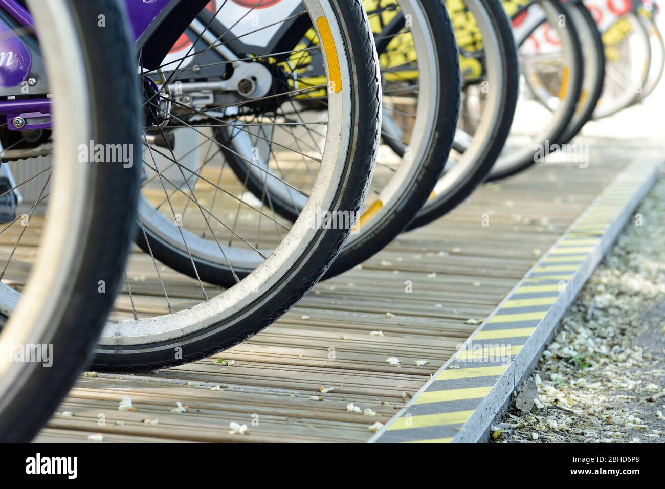 Vienna, Austria. Rental bicycles at a bicycle parking Stock Photo