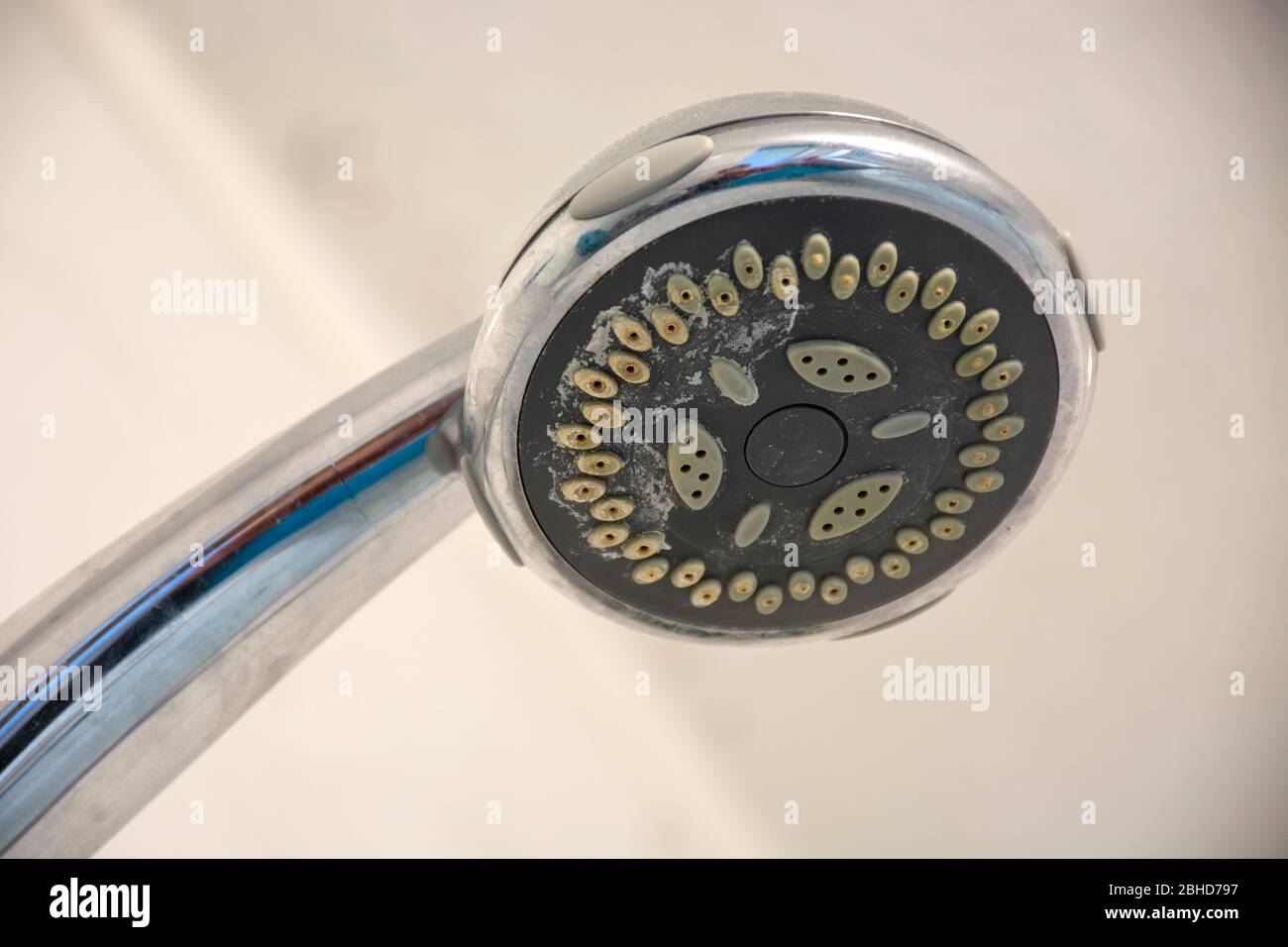 Limescale shower head hires stock photography and images Alamy