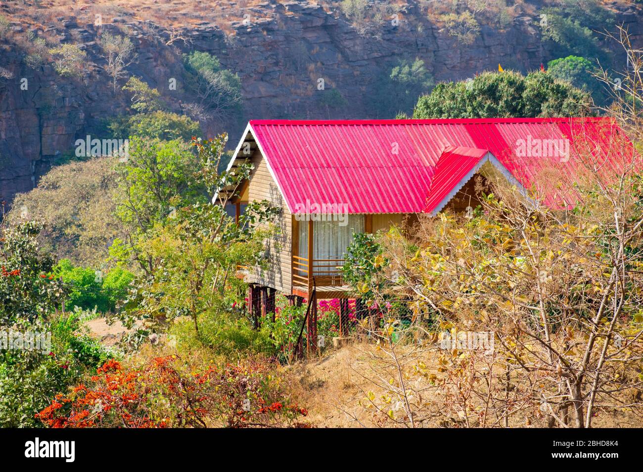 Red wood house at top of mountain bhopal india hires stock photography