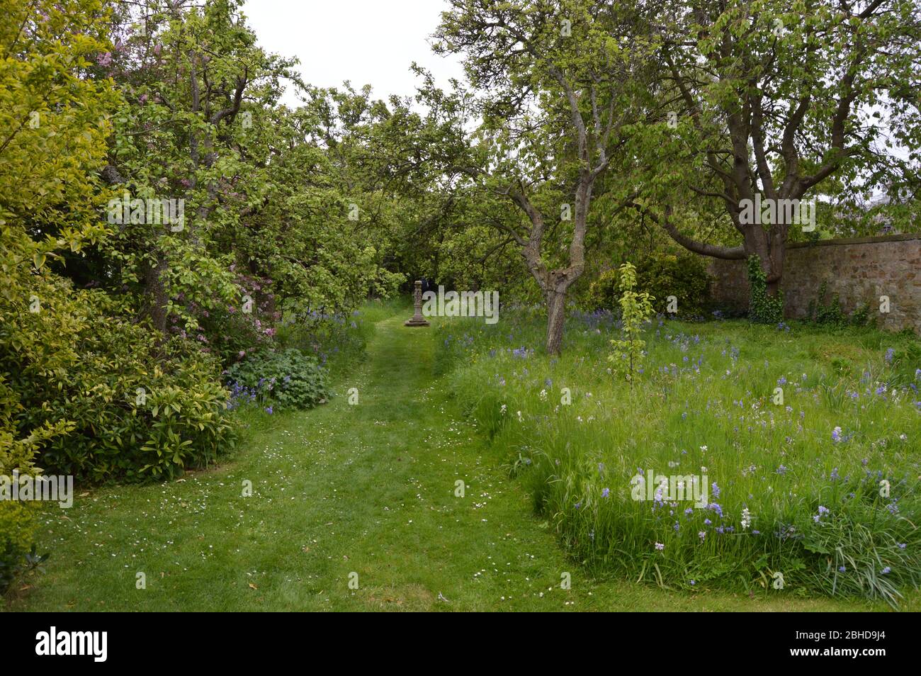 A Scottish Town Garden, St Andrews, Fife Stock Photo Alamy