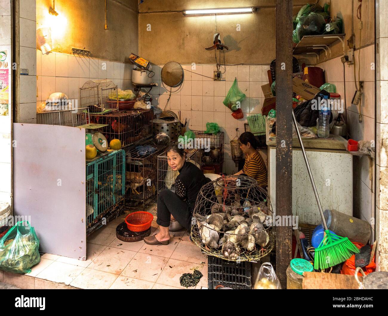 Hanoi, Vietnam, December 30, 2019 - back shop of a retaurant. A lady washes the dishes. She is surrounded by a cage full of live animals Stock Photo
