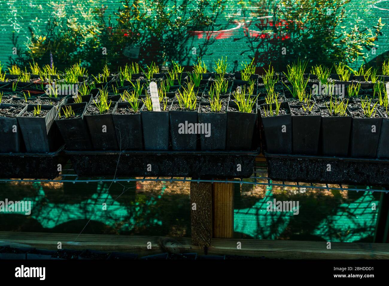 Shade House High Resolution Stock Photography And Images Alamy