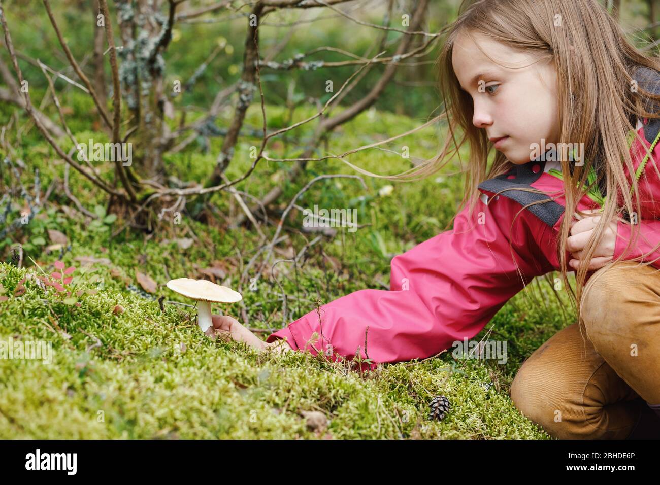 Elementary age girl found a potentially dangerous mushroom while camping in a forest - risk of child mushroom poisoning concept Stock Photo