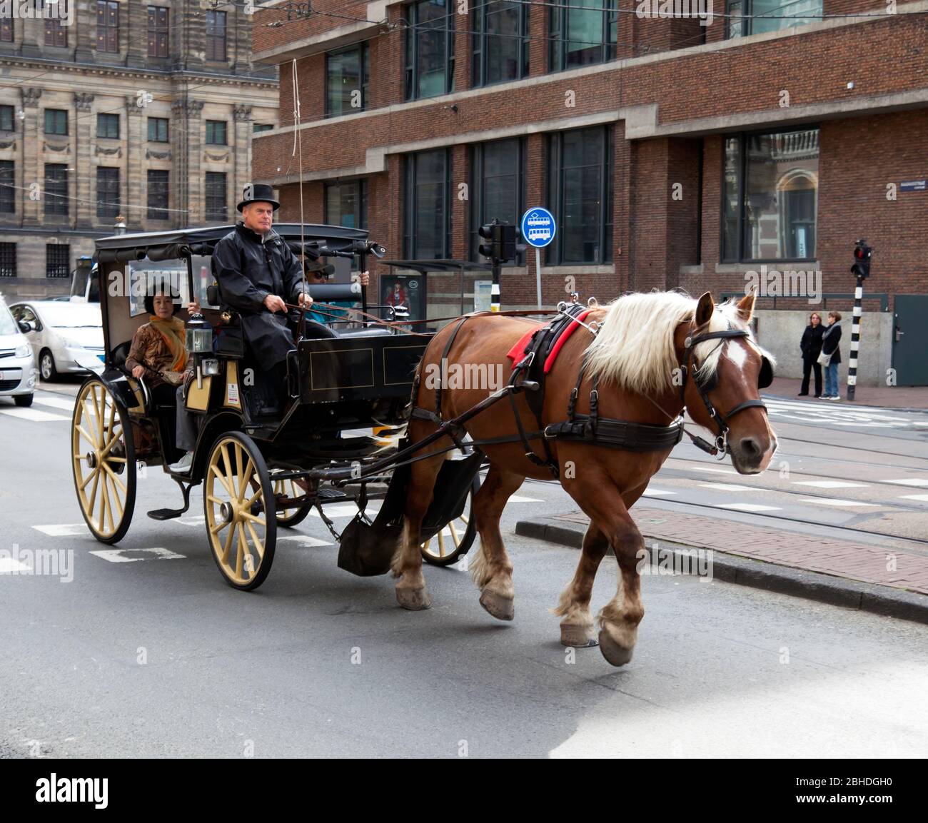 horse drawn carriage tours