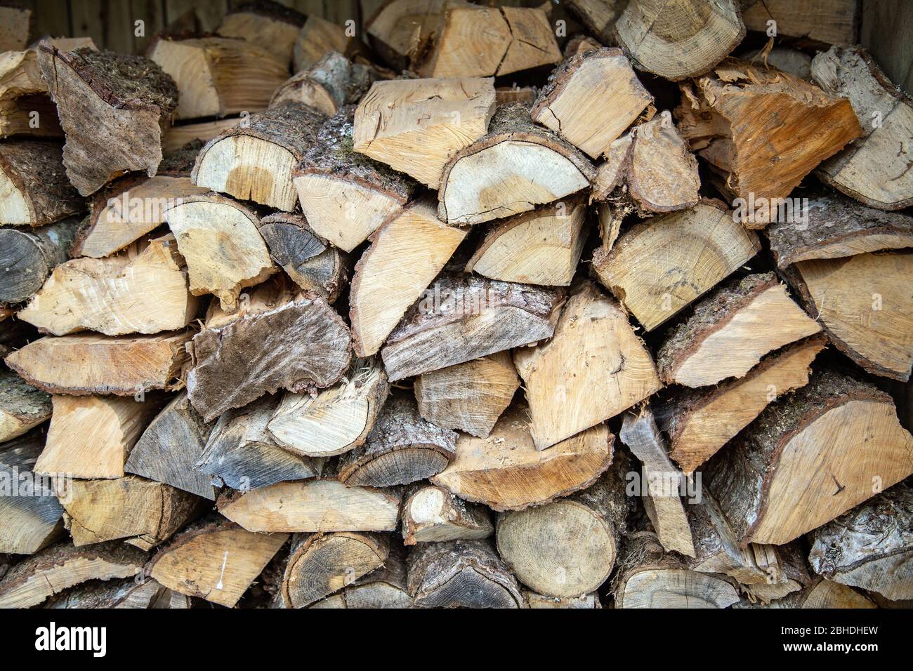 Log Pile Stock Photo