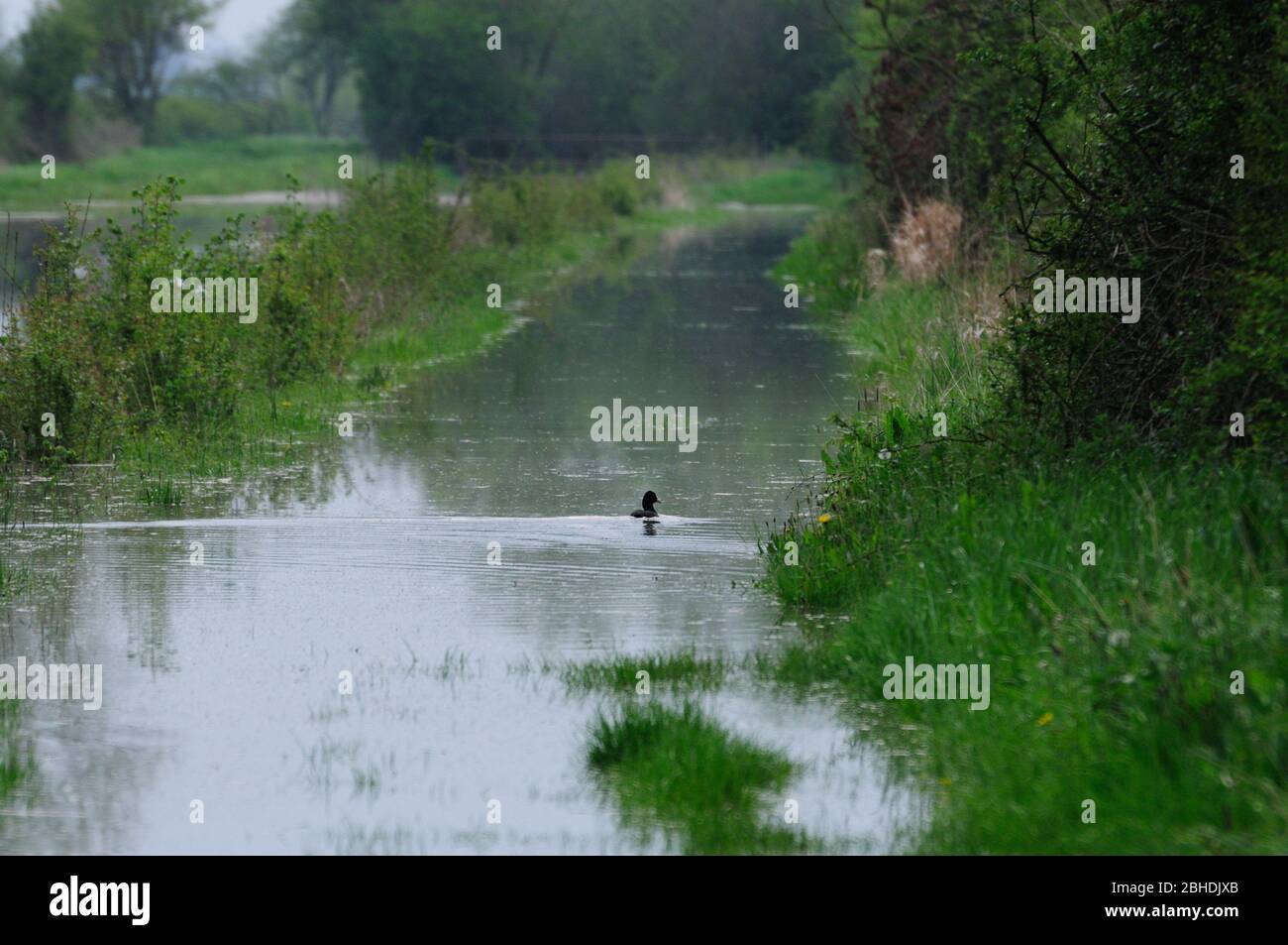 Flooding in the countryside in Gloucestershire Stock Photo