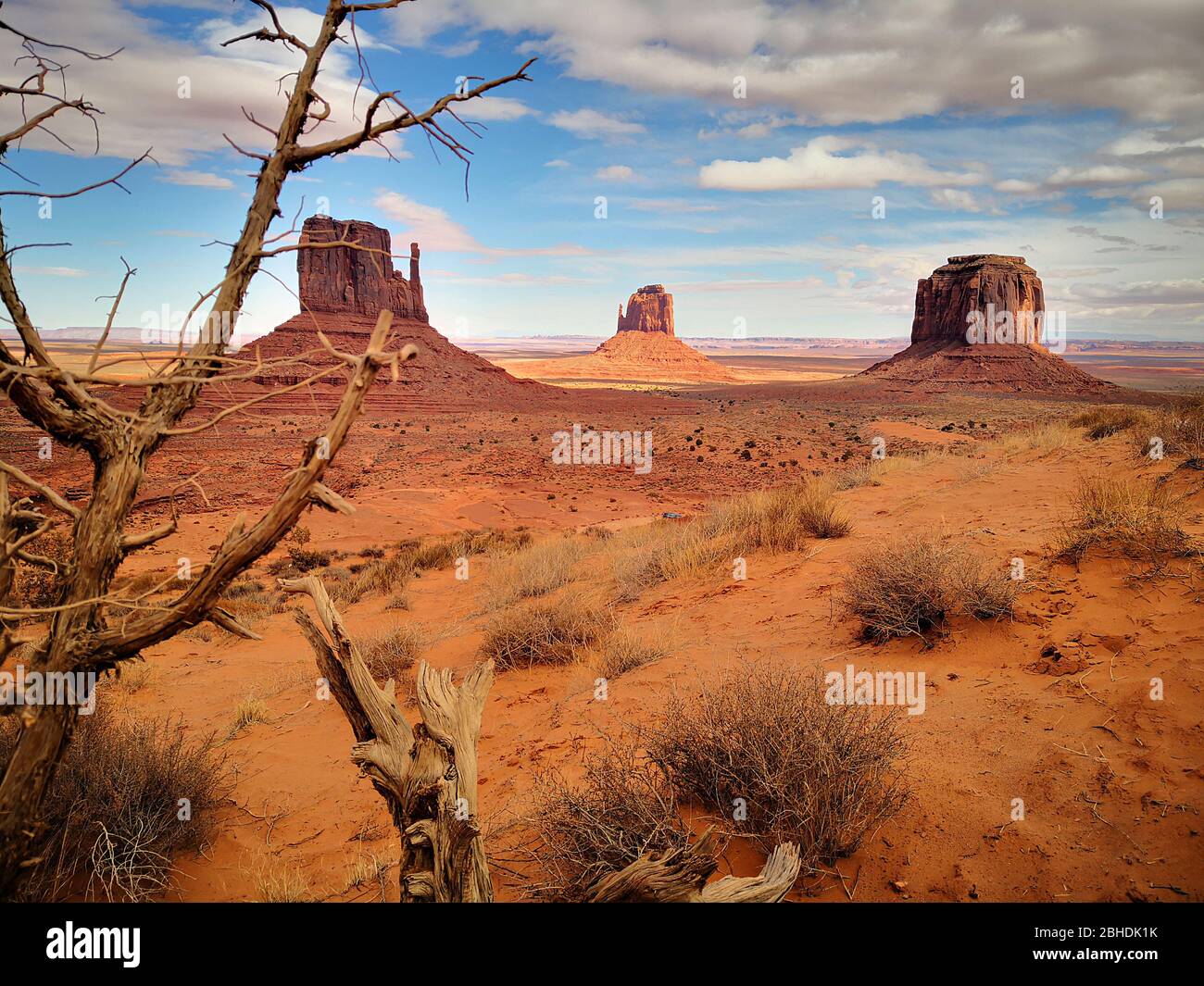 Monument Valley, view with a dead tree in the foreground over the Colorado Plateau with the popular Buttes Mitten Butte and Merrick Butte Stock Photo