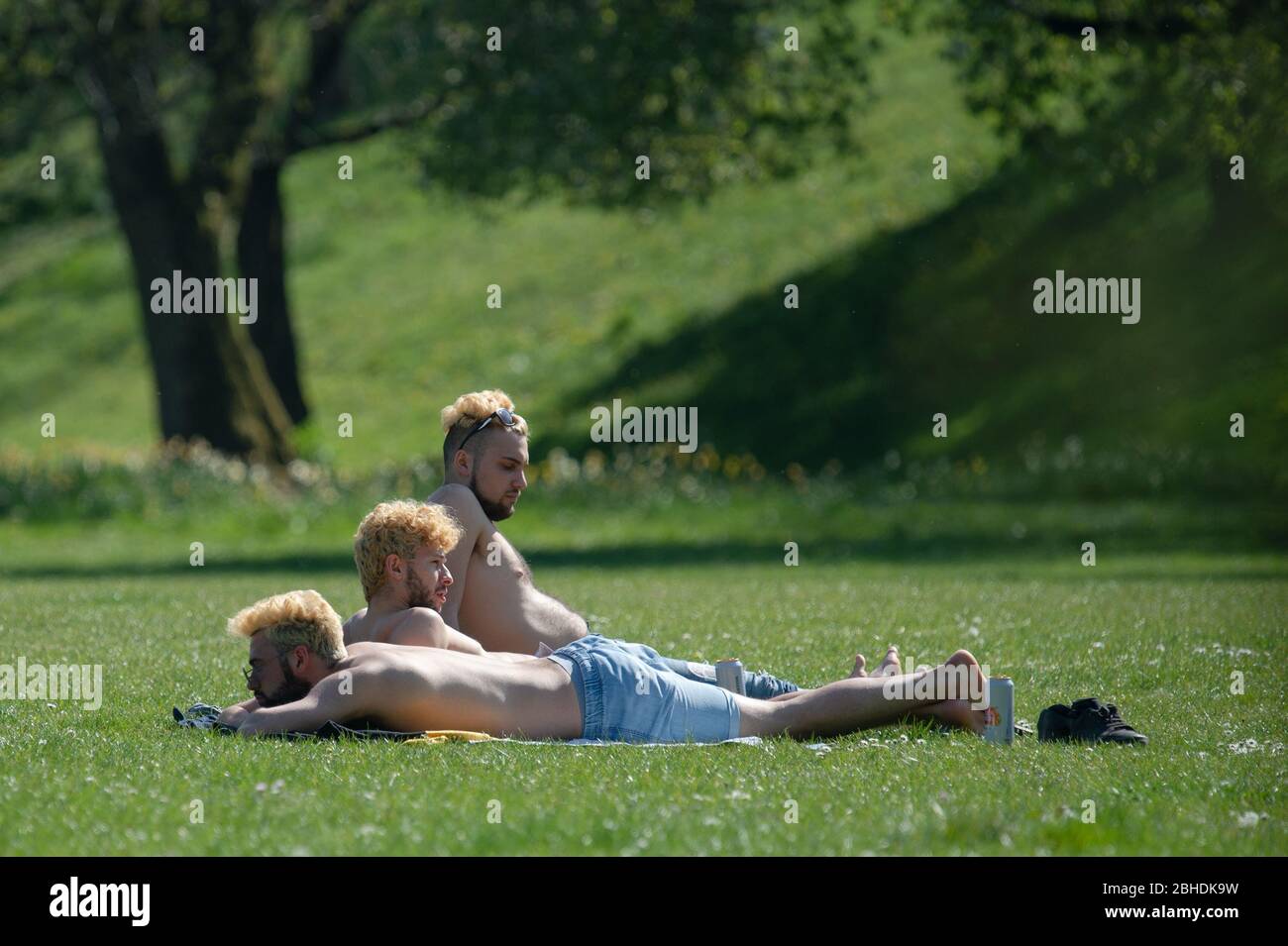 MANCHESTER, UK Three men with identical bleach blonde hair sunbathe in the sunshine in Peel Park, Salford, Greater Manchester on Saturday 25th April 2020. (Credit: Pat Scaasi | MI News) Credit: MI News & Sport /Alamy Live News Stock Photo