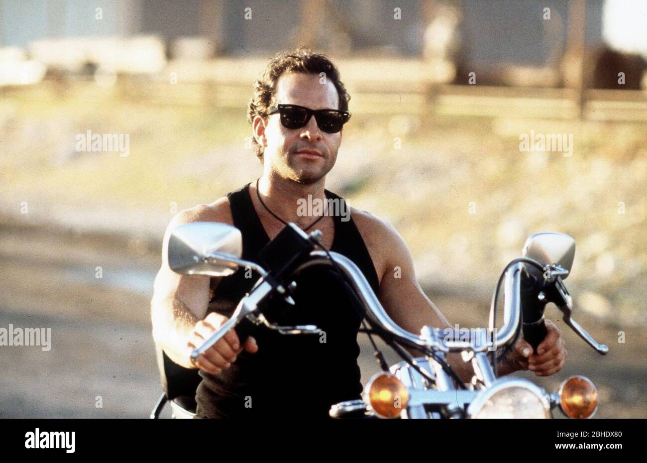 Steve Guttenberg High Resolution Stock Photography And Images Alamy
