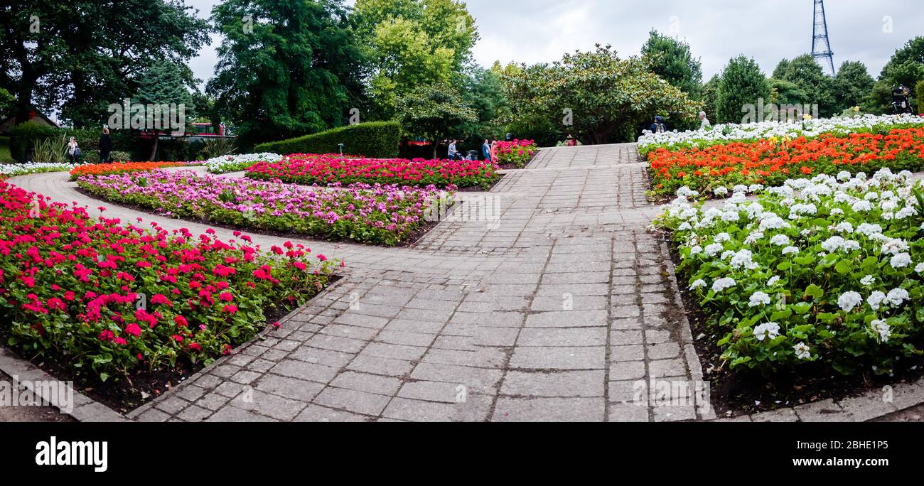 Colourful flower beds at Crystal Palace Park, London, England, UK Stock Photo