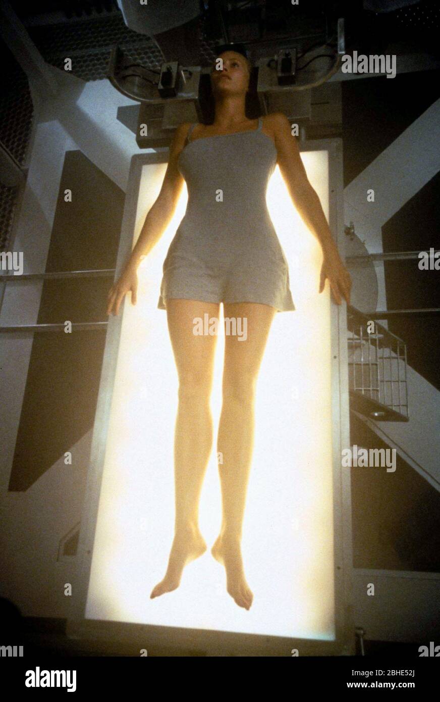 Natasha Henstridge Species High Resolution Stock Photography and Images