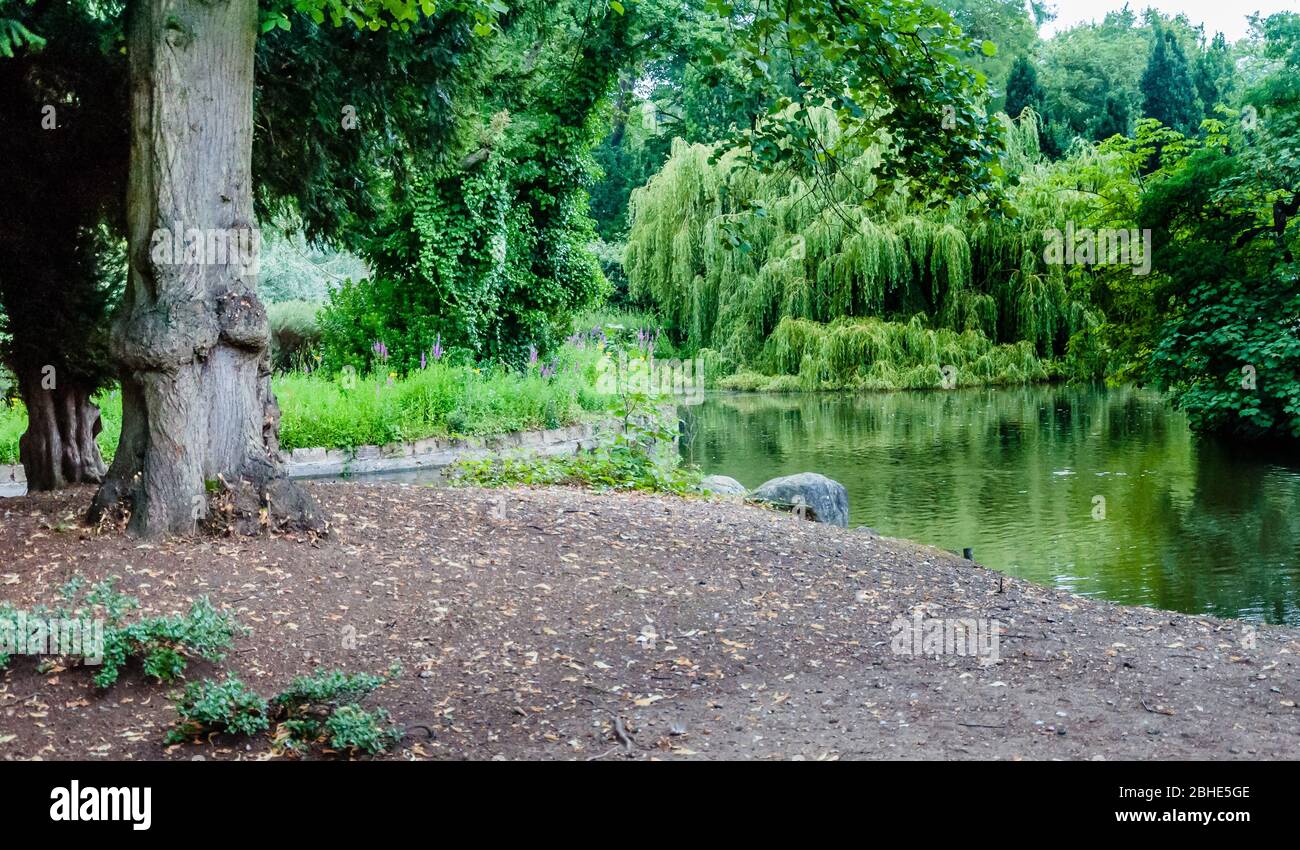 Map of lake crystal hi-res stock photography and images - Alamy