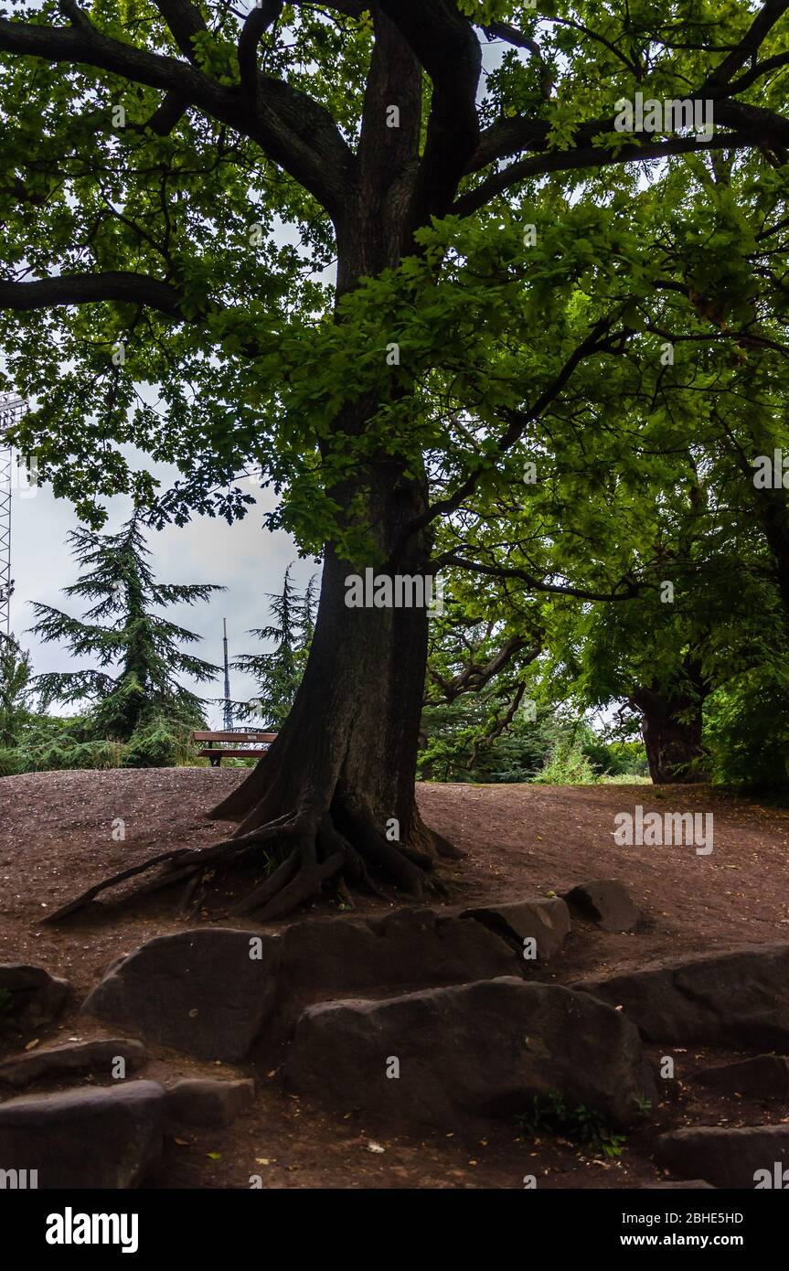 Panoramic of Crystal Palace Park, London, England, UK Stock Photo Alamy