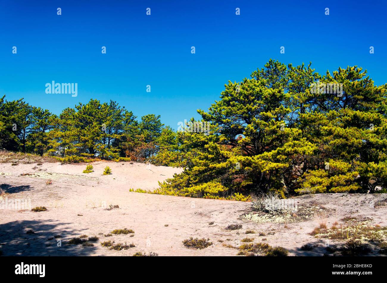 The national seashore located in Cape Cod Massachusetts on a sunny blue sky autumn day in New england. Stock Photo