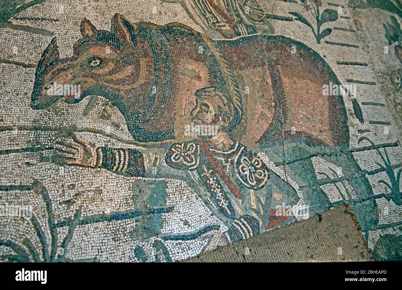 Sicily Europe Imperial Villa Romana Del Casala Mosaic Corridor of the Great Hunt Roman Stock Photo