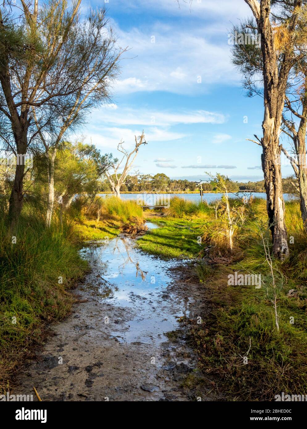 Baigup Wetlands river flats vegetation beside the Swan River Perth Western Australia. Stock Photo