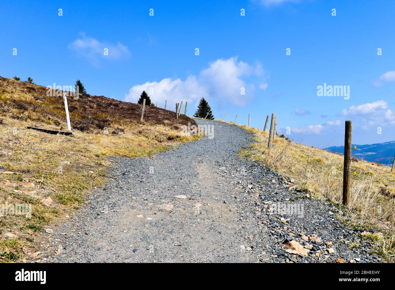 Black forest hike germany hi-res stock photography and images - Alamy