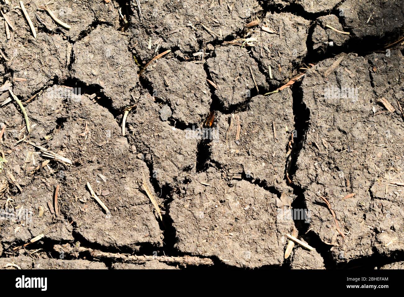 Dry soil with large cracks - global warming. Stock Photo