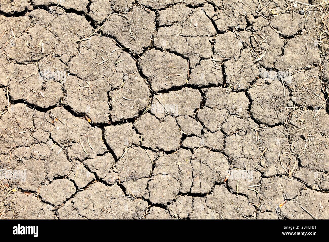 Dry soil with large cracks - global warming. Stock Photo