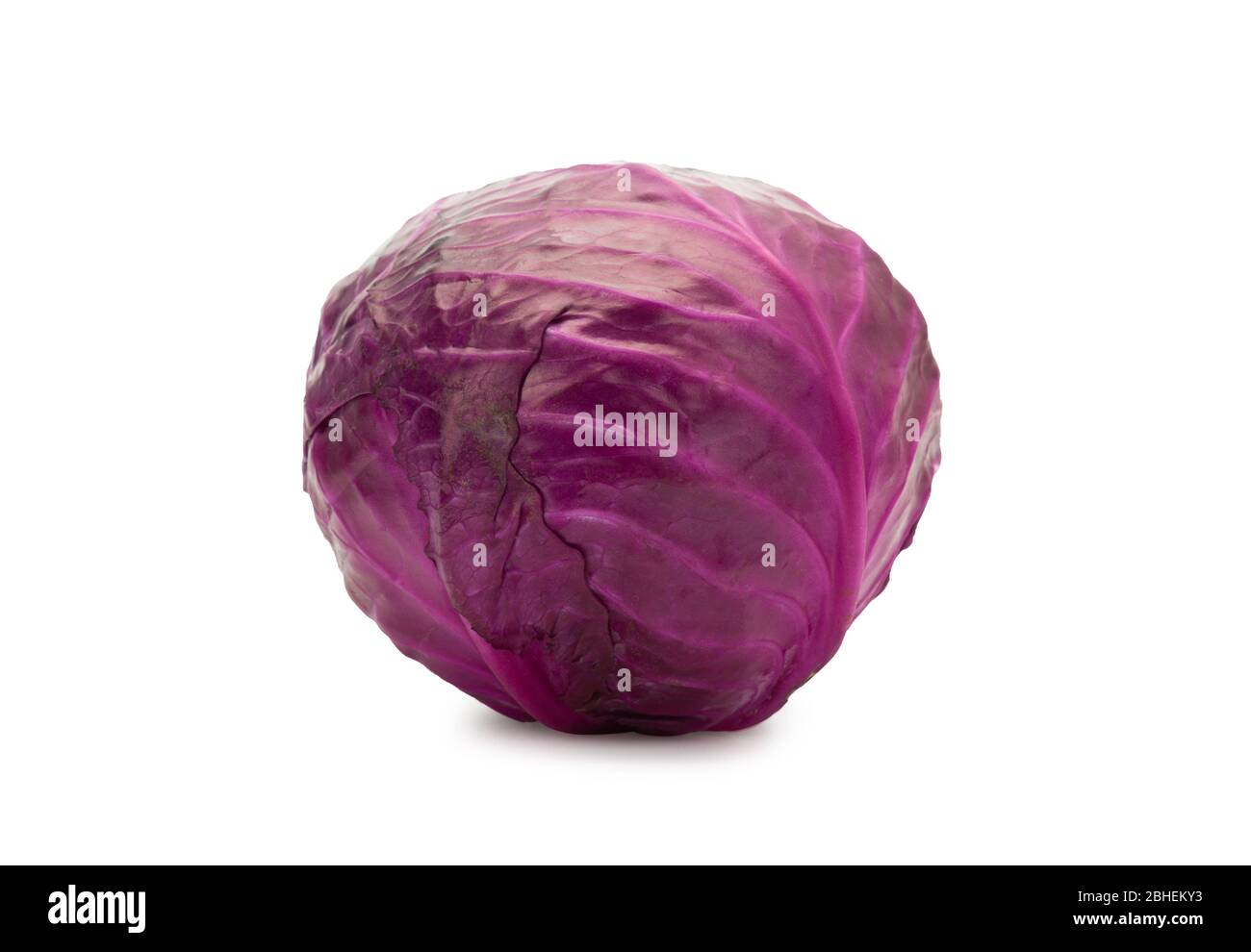 Red Cabbage isolated on white background with clipping path. Stock Photo
