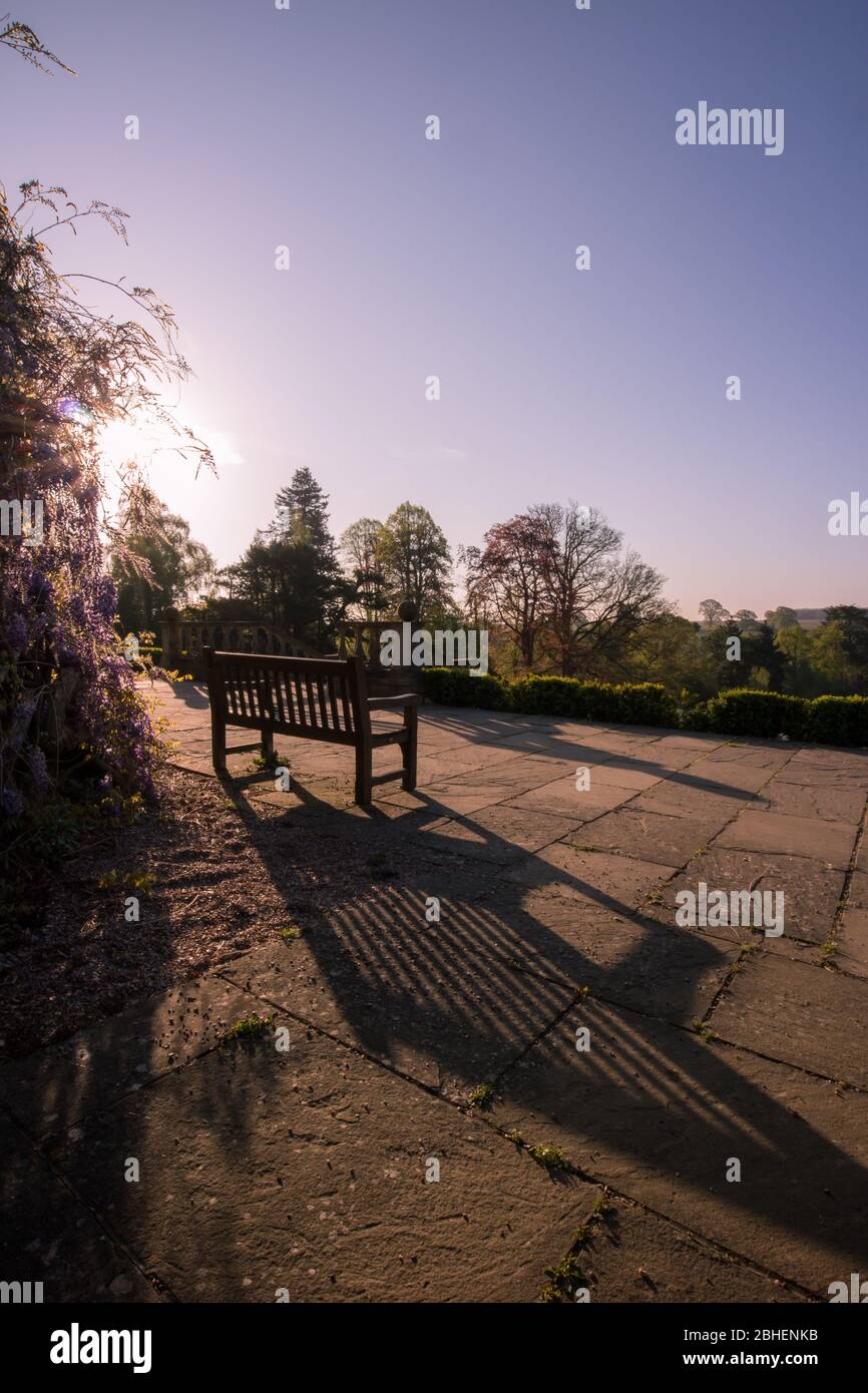 Dunorlan Park, Royal Tunbridge Wells, Kent, row of commemorative benches with wisteria at sunrise, South East England, UK Stock Photo