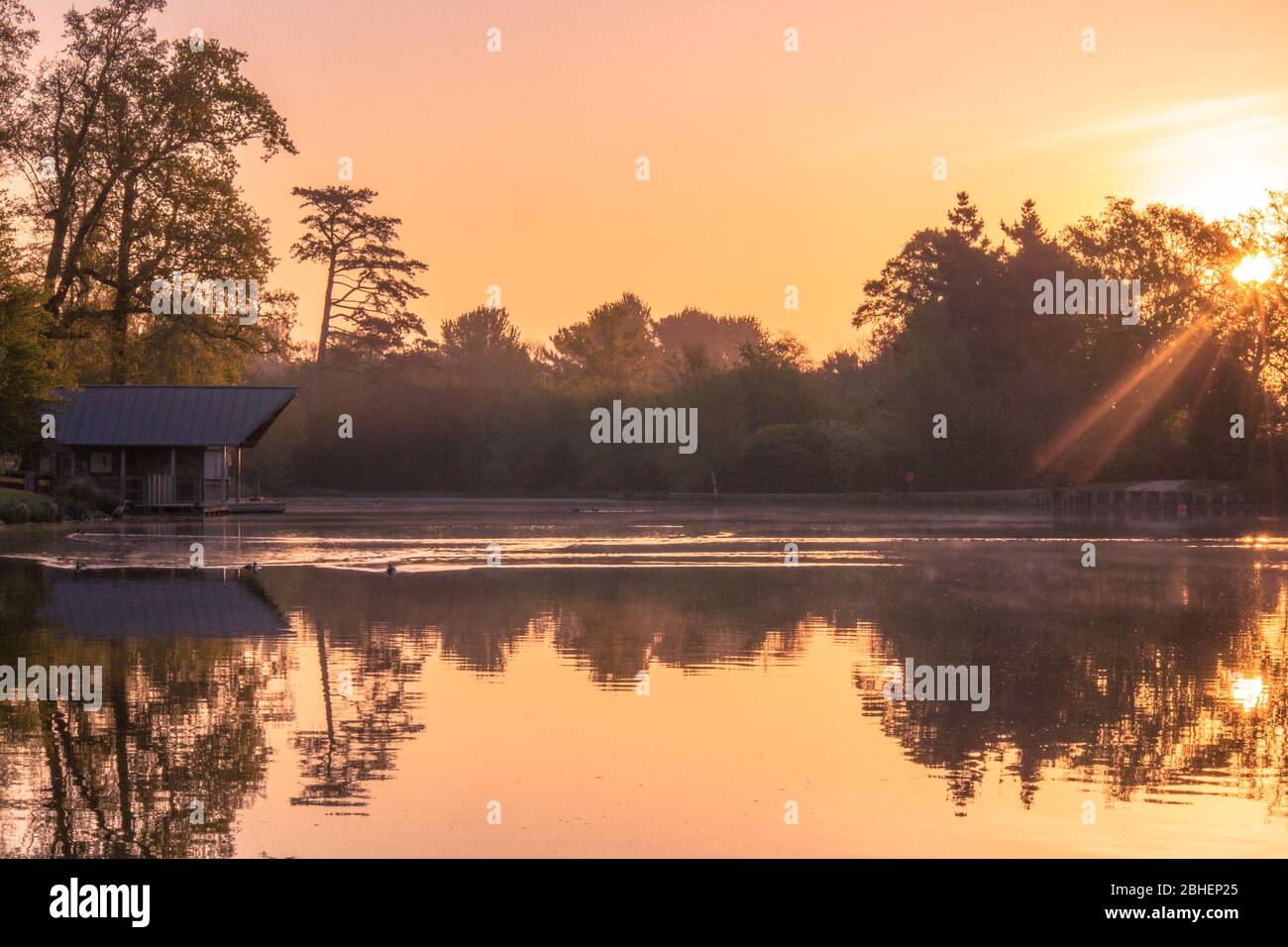 Dunorlan Park, Royal Tunbridge Wells, Kent, Sunrise in the park in April Stock Photo