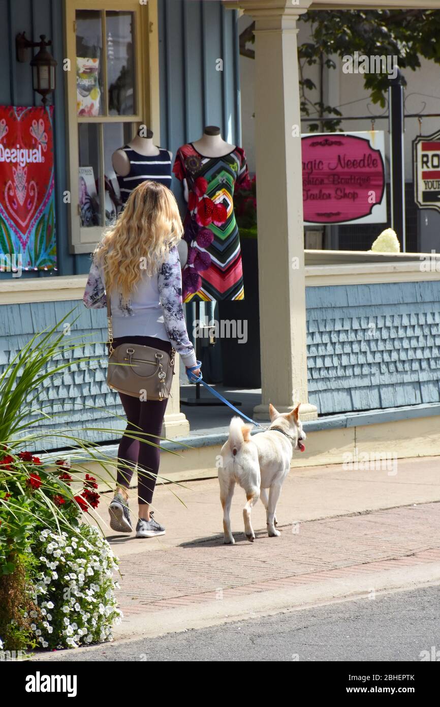 Walking with a dog in the street Stock Photo
