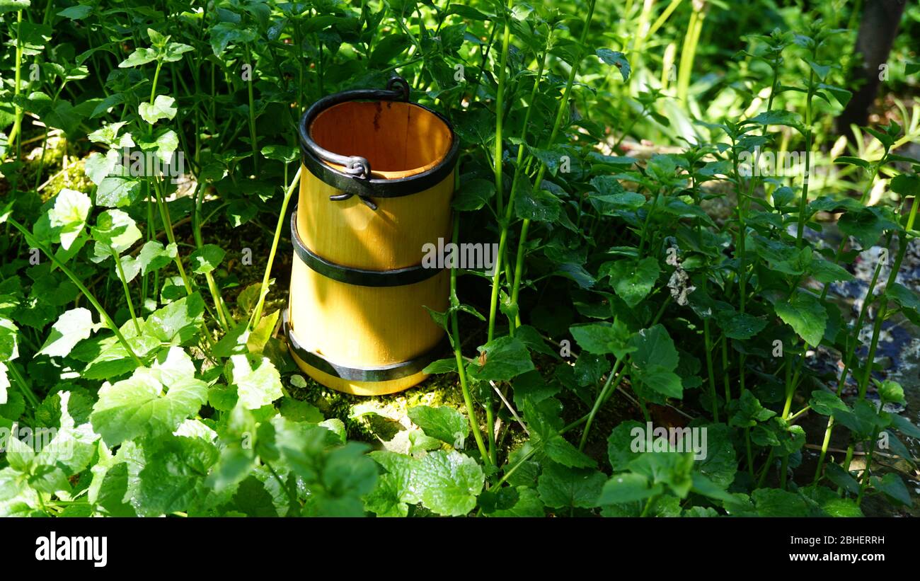 Anglo Saxon mead hall drinking bucket Butlers Field grave 172 57th