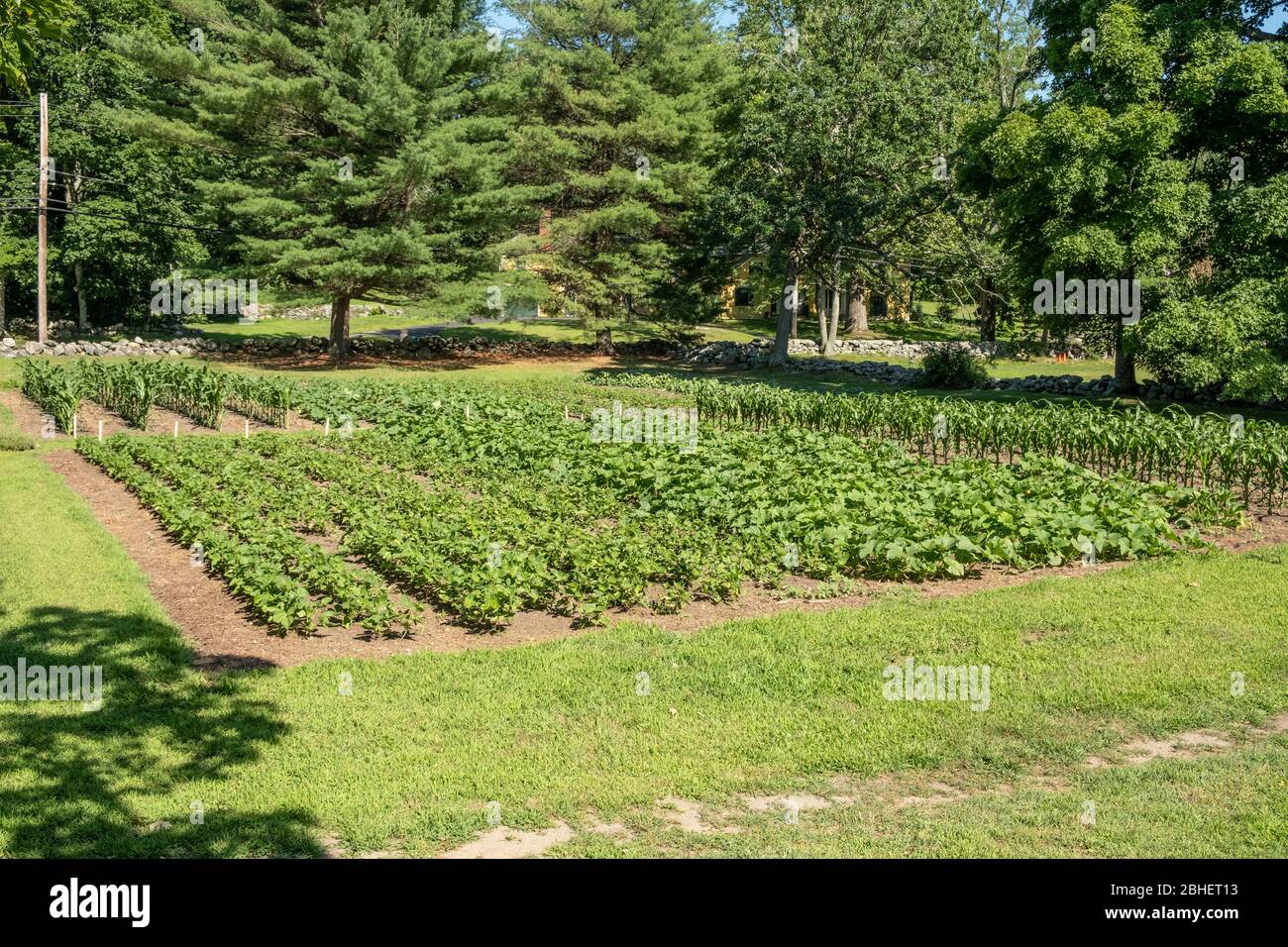 The gardens at the Old Manse in Concord, MA Stock Photo