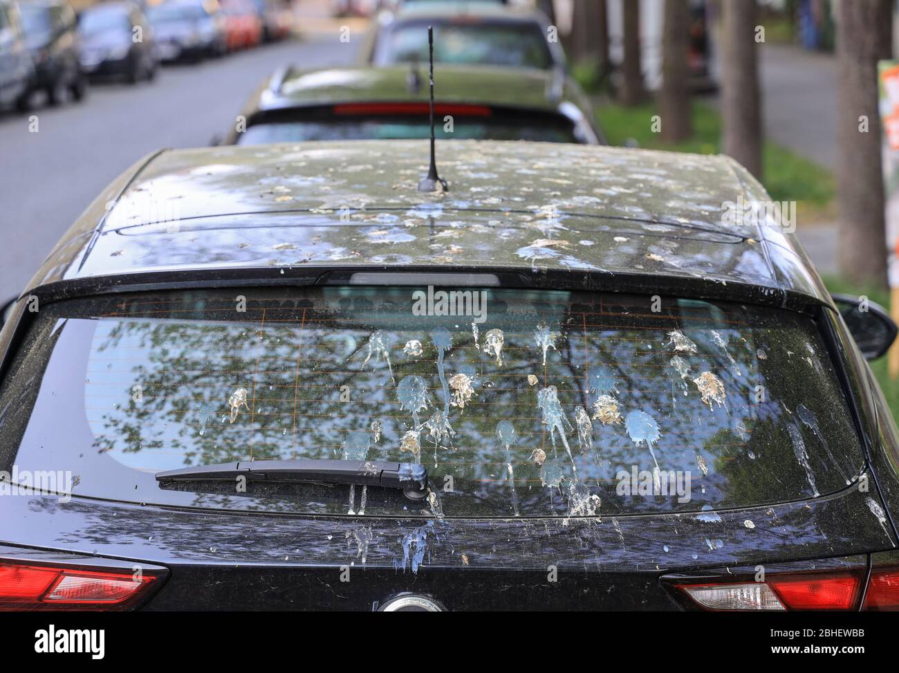 Bird droppings covering a parked car in the street. Stock Photo