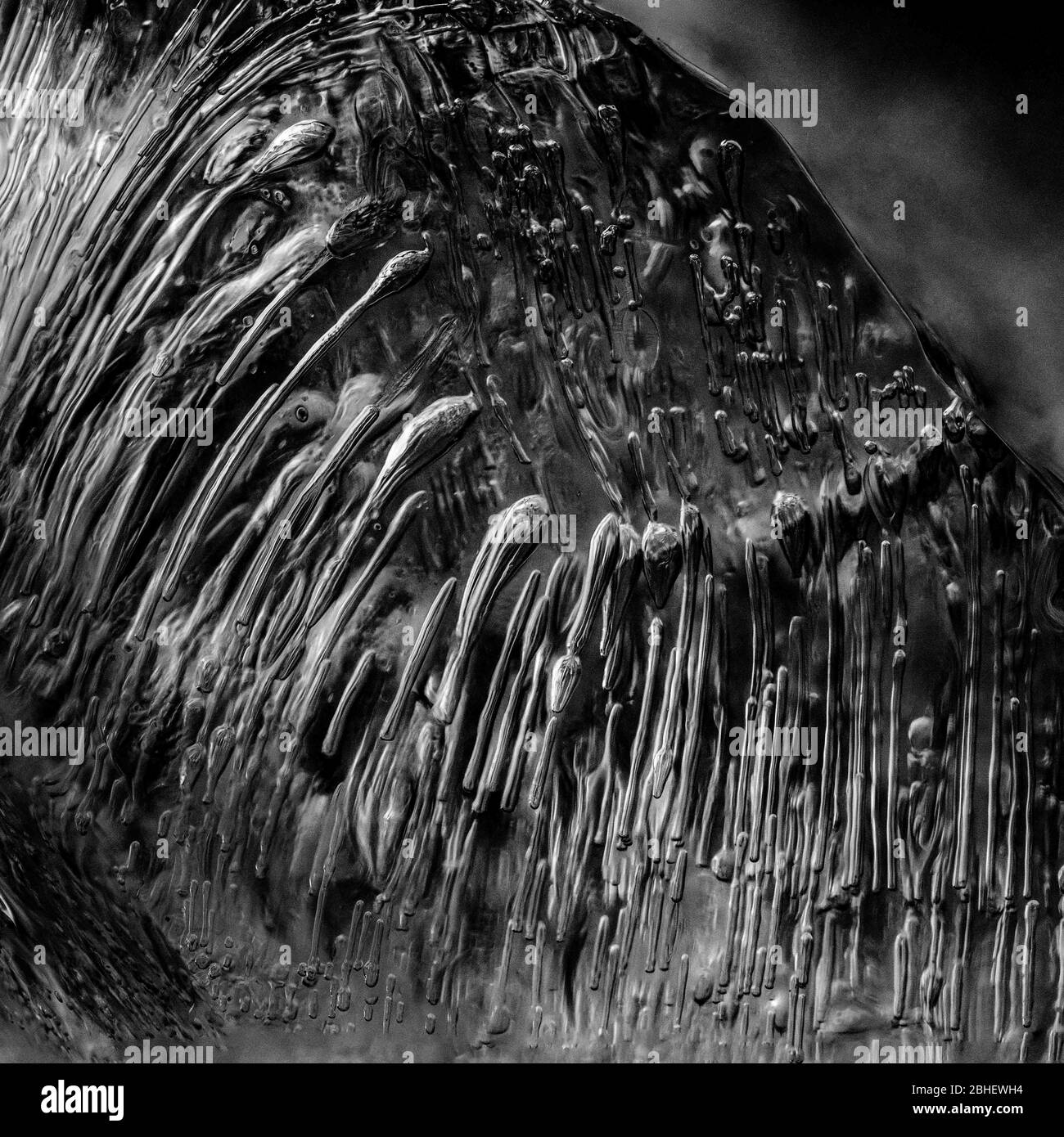 Close-up on air bubbles stuck in frozen water Stock Photo